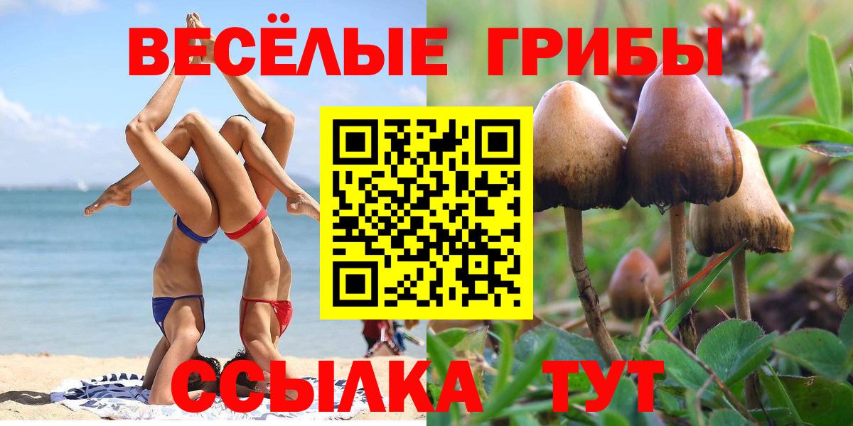 Сосновоборск  Псилоцибиновые грибы Magic Shrooms  купить наркотик  Вход с VPN 