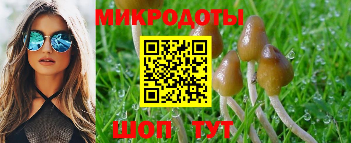 Галлюциногенные грибы GOLDEN TEACHER Сосновоборск